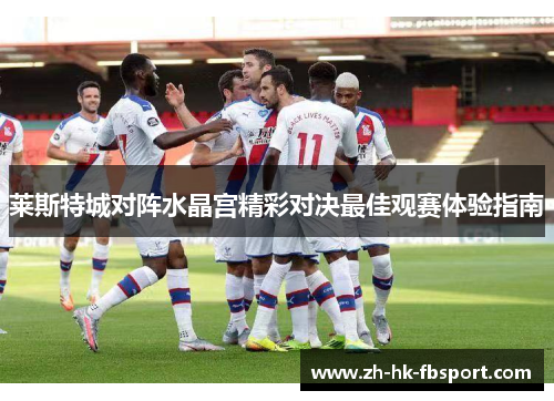 莱斯特城对阵水晶宫精彩对决最佳观赛体验指南 莱斯特城对阵水晶宫精彩对决最佳观赛体验指南