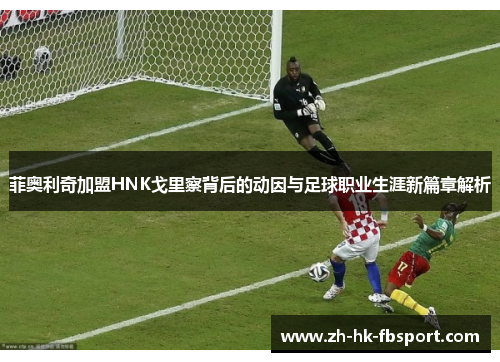 菲奥利奇加盟HNK戈里察背后的动因与足球职业生涯新篇章解析